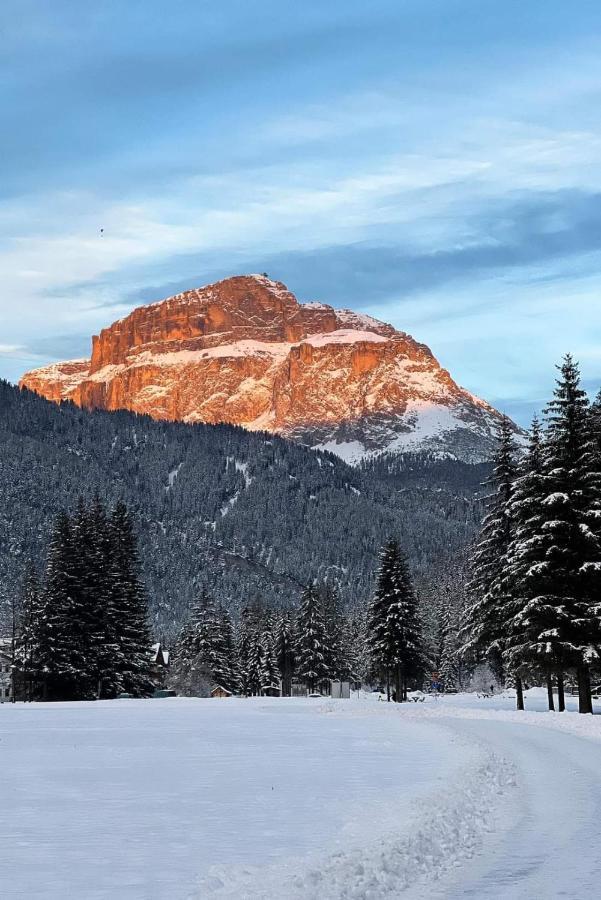 Cesa Pier Sellaronda Dolomiti Apartment Campitello di Fassa Ngoại thất bức ảnh